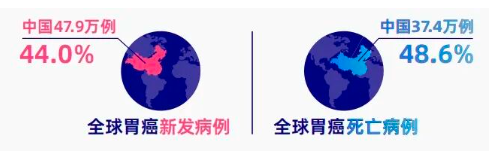 中国胃癌防治指南：高危人群筛查与预防要点 (2024)