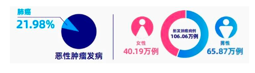 中国肺癌防癌指南：高危人群筛查、危险因素与预防建议（2024版）