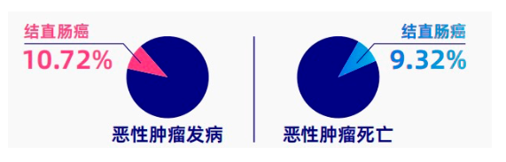 结直肠癌防治指南：2024最新筛查、高危人群与预防建议