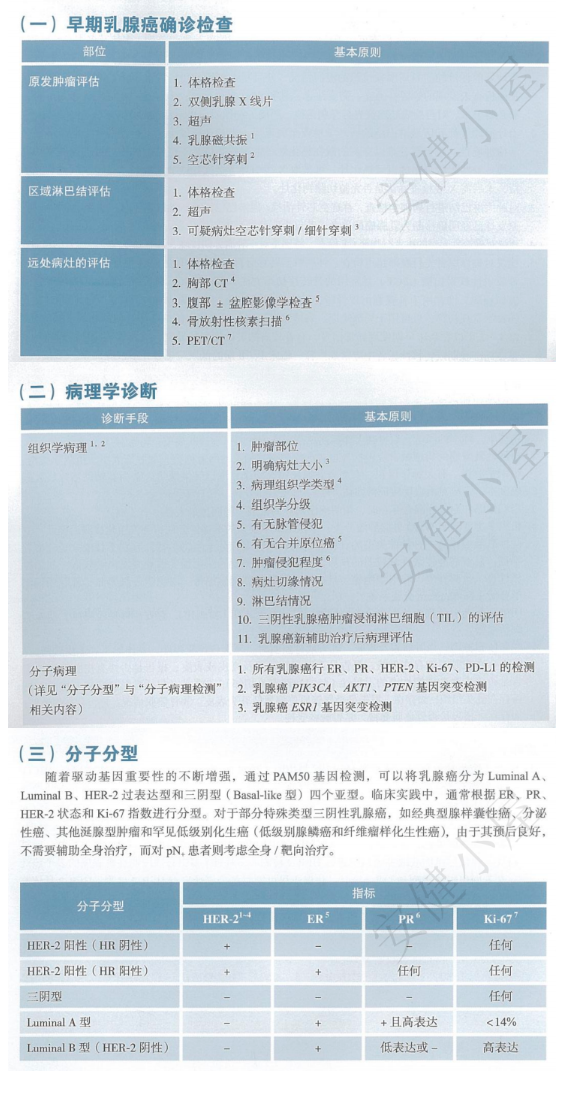 早期乳腺癌确诊检查，病理学诊断，分子分型