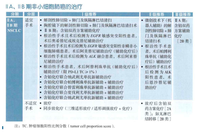 IIA、I1B期非小细胞肺癌的治疗