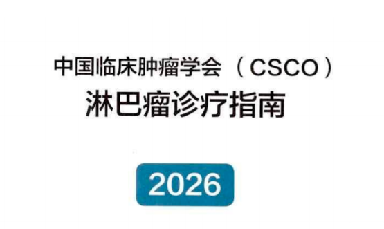 2026CSCO淋巴瘤诊疗指南在线阅读，速览目录核心更新要点