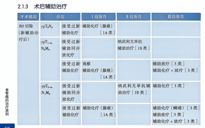 2026 CSCO食管癌指南：术后辅助治疗权威更新，含腺癌/鳞癌分层方案（附R0/R1/R2切除处理原则）